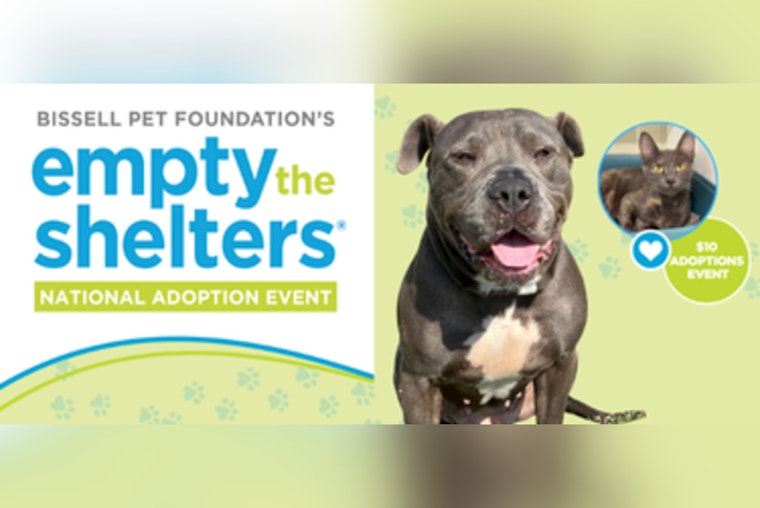 BISSELL Pet Foundation Partners with 300 Shelters to 'Empty the Shelters' Nationwide, Offers Reduced Adoption Fees