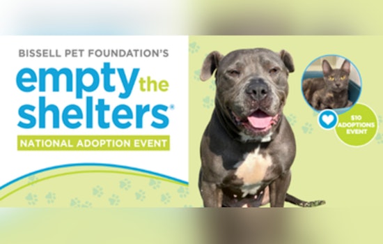 BISSELL Pet Foundation Partners with 300 Shelters to 'Empty the Shelters' Nationwide, Offers Reduced Adoption Fees