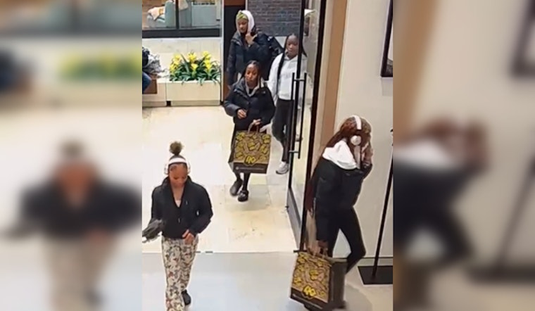 Boston Police Request Public's Assistance in Identifying Suspects in Prudential Center Larceny Case