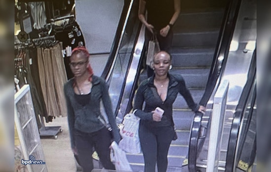 Boston Police Seek Public's Assistance in Identifying Suspects in Downtown Marshalls Larceny Case