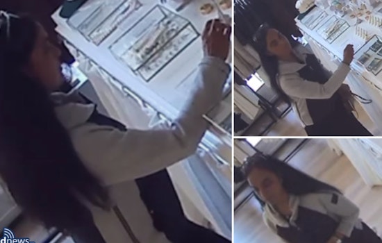 Boston Police Seek Public's Help to Identify Suspect in Charles Street Shoplifting Case