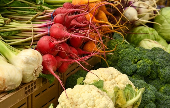 Boston Rallies to Support Residents Amid SNAP Benefit Cuts as Mayor Wu Partners with The Boston Foundation for Emergency Aid