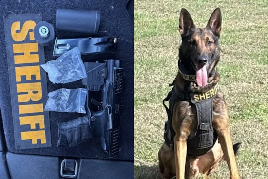 Butler County K9 Unit Assists in Drug and Firearm Bust During Traffic Stop