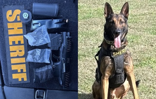 Butler County K9 Unit Assists in Drug and Firearm Bust During Traffic Stop