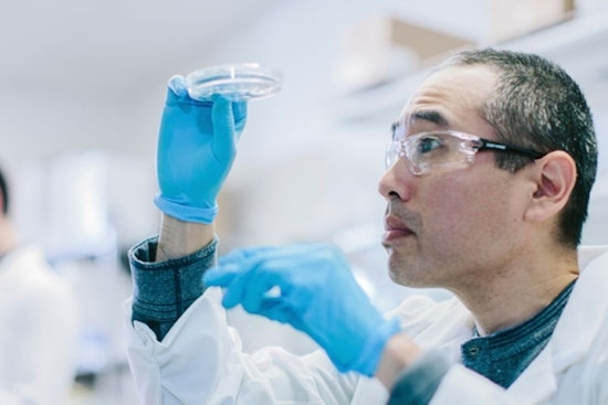 California Governor Hochul Announces $10 Million Investment in SUNY Brain Institute for Neuroscience Research
