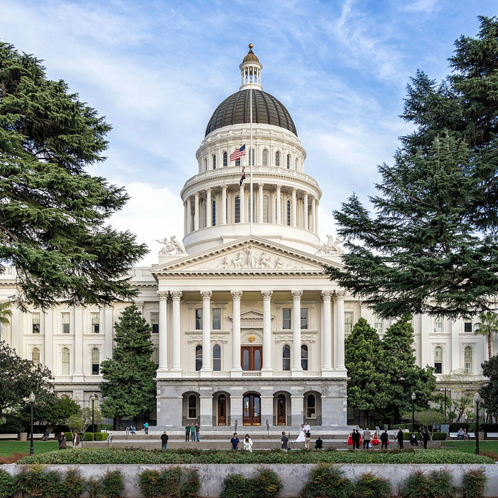 California Shuts Down $222 Million in Illegal Cannabis Ops; Monterey County Site Among Largest Crackdowns