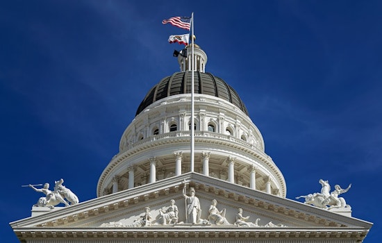 California Tackles Puppy Mills with New Laws Signed by Governor Newsom, Aims to Alleviate Shelter Overcrowding in San Diego
