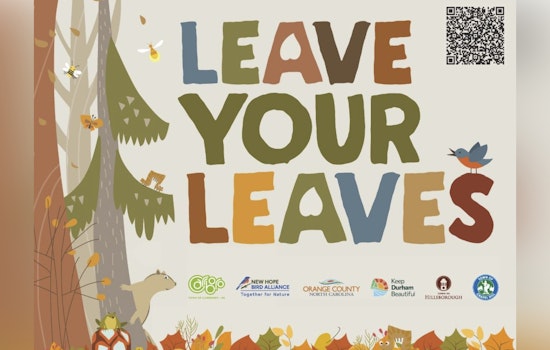 Carrboro Launches "Leave Your Leaves" Initiative to Boost Biodiversity and Reduce Emissions