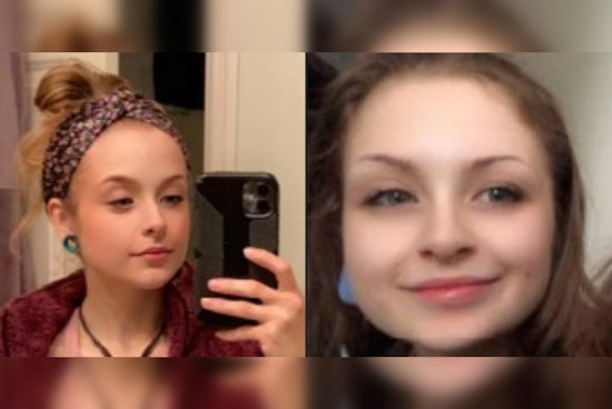 Carver County Sheriff's Office Seeks Help to Locate Missing Woman Last Seen in Minneapolis