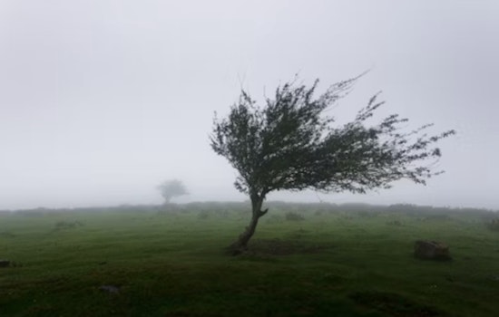 Central Indiana Braces for Strong Winds and Frosty Forecast, NWS Indianapolis Issues Advisory