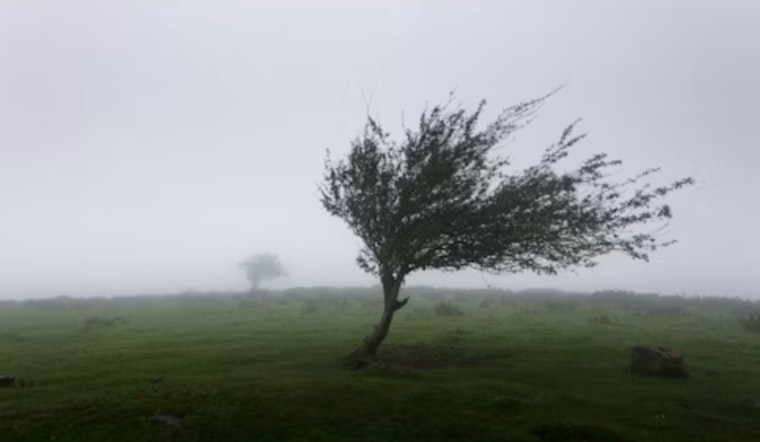 Central Indiana Braces for Strong Winds and Frosty Forecast, NWS Indianapolis Issues Advisory