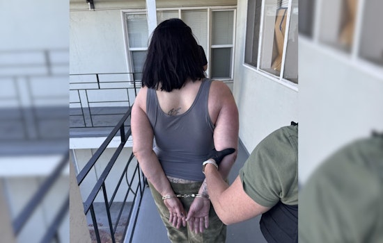 Charges Filed Against Concord and Oakland Suspects in Walnut Creek Residential Burglary Case