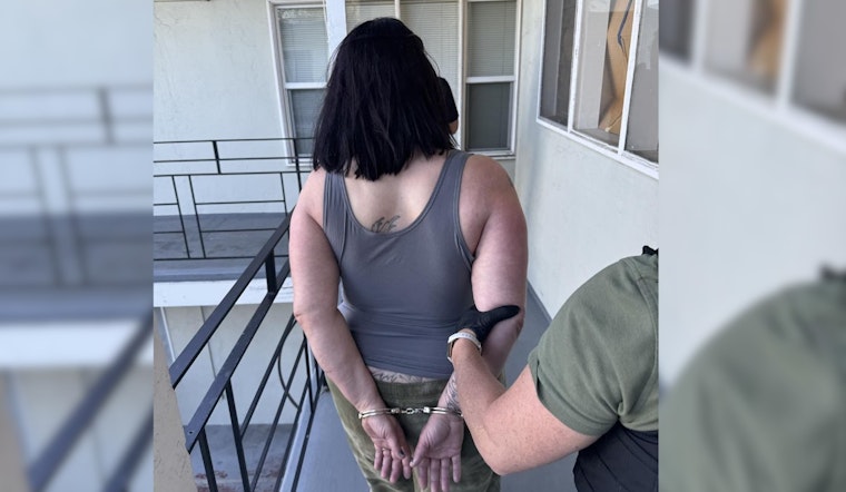 Charges Filed Against Concord and Oakland Suspects in Walnut Creek Residential Burglary Case