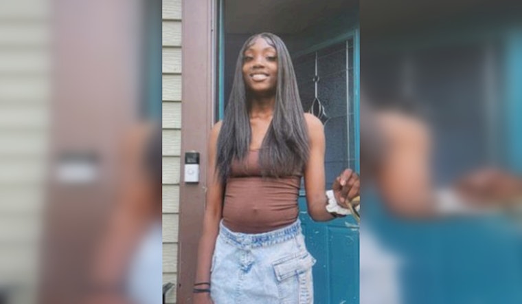 Chicago Police Request Public's Aid in Locating Missing 19-Year-Old Desiree Price Amidst Mental Health Concerns