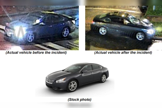 Chicago Police Seek Public Help to Find Hit-and-Run Driver After Fatal West Englewood Incident