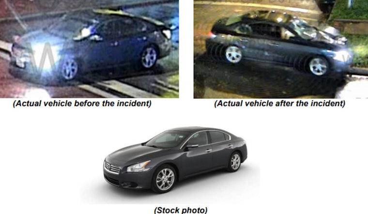 Chicago Police Seek Public Help to Find Hit-and-Run Driver After Fatal West Englewood Incident