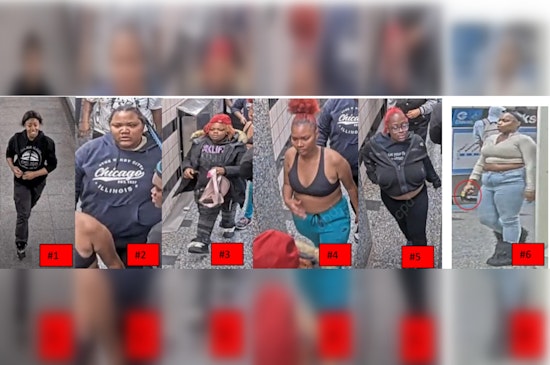 Chicago Police Urge Vigilance After Robbery and Aggravated Battery on CTA Platform in the Loop