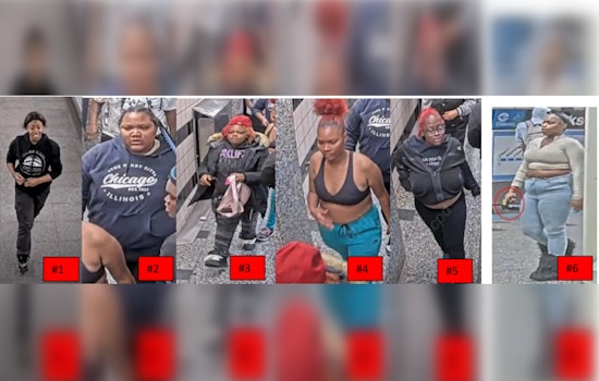 Chicago Police Urge Vigilance After Robbery and Aggravated Battery on CTA Platform in the Loop