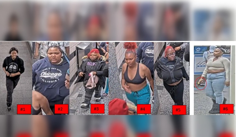 Chicago Police Urge Vigilance After Robbery and Aggravated Battery on CTA Platform in the Loop