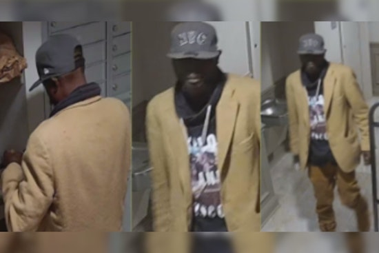 Cincinnati Police Seek Public Assistance to Identify Suspect in Luray Ave Break-In