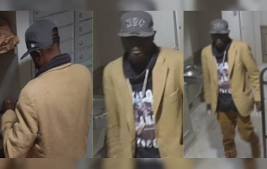 Cincinnati Police Seek Public Assistance to Identify Suspect in Luray Ave Break-In
