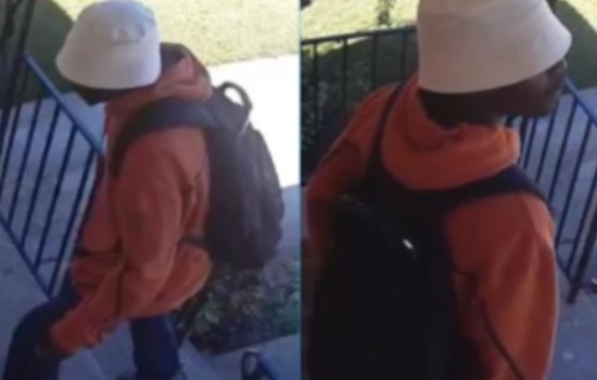 Cincinnati Police Seek Public Help to Solve Westwood Package Thefts on Montana Avenue