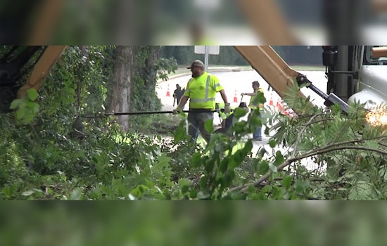 Cobb County DOT Addresses Concerns Over Unkempt Roadways, Cites Weather-Related Delays