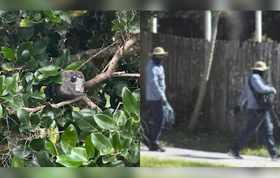 Colombian Theft Ring Busted in Central Florida, Five Charged with Burglaries Targeting Asian Business Owners