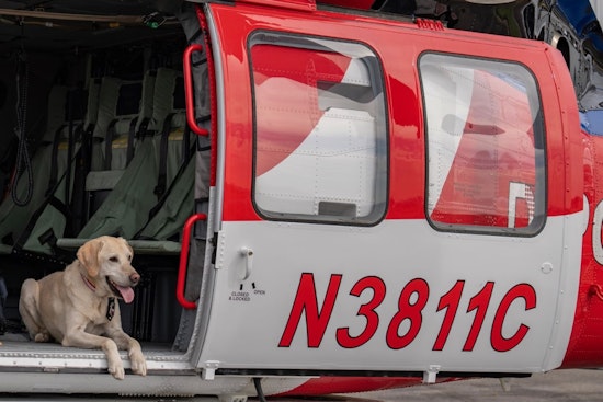 Colorado Celebrates K9 ROTC's Retirement and Welcomes Successor, Waffle, to Fire Investigation Team