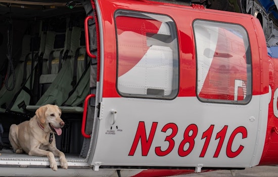 Colorado Celebrates K9 ROTC's Retirement and Welcomes Successor, Waffle, to Fire Investigation Team