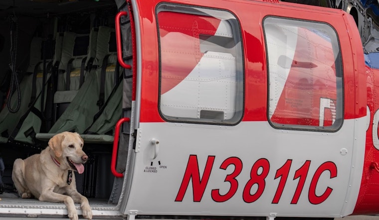 Colorado Celebrates K9 ROTC's Retirement and Welcomes Successor, Waffle, to Fire Investigation Team