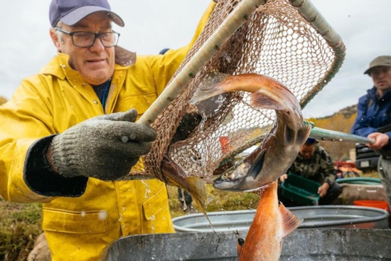 Colorado Parks and Wildlife Announces Annual Kokanee Salmon Giveaways for 2025, Anglers Advised to Confirm Availability