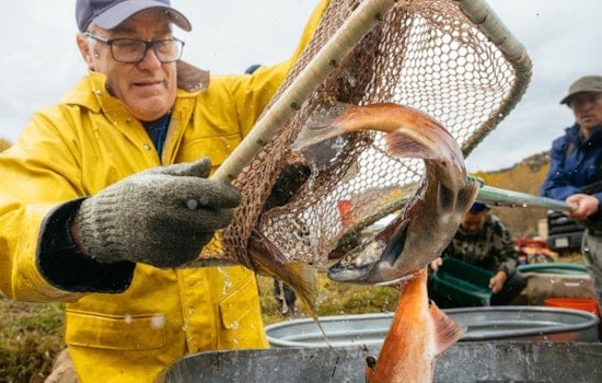 Colorado Parks and Wildlife Announces Annual Kokanee Salmon Giveaways for 2025, Anglers Advised to Confirm Availability