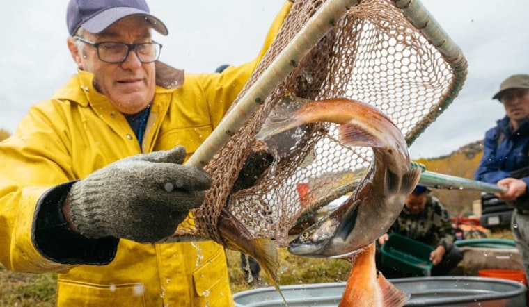 Colorado Parks and Wildlife Announces Annual Kokanee Salmon Giveaways for 2025, Anglers Advised to Confirm Availability