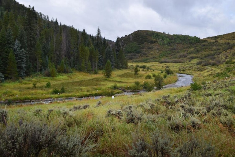 Colorado Parks and Wildlife Announces Mandatory Fishing Closure on Yampa River to Protect Aquatic Life