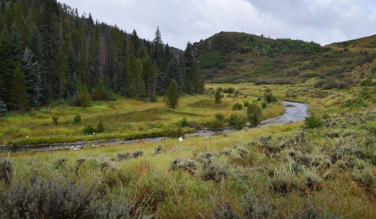 Colorado Parks and Wildlife Announces Mandatory Fishing Closure on Yampa River to Protect Aquatic Life