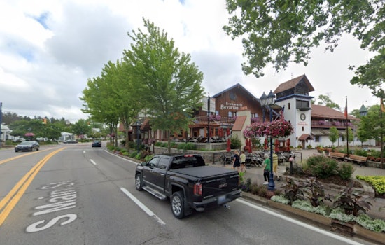 Community Mourns as Rescue Horse Ruby Passes Away During Carriage Ride in Frankenmuth