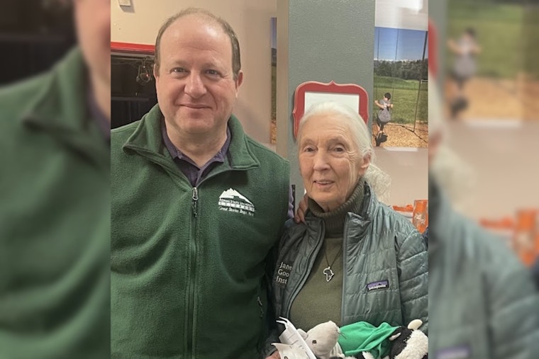 Conservation Legend Jane Goodall Mourned by Governor Polis and World as Environmental Stalwart Passes Away