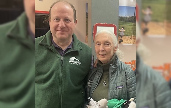 Conservation Legend Jane Goodall Mourned by Governor Polis and World as Environmental Stalwart Passes Away