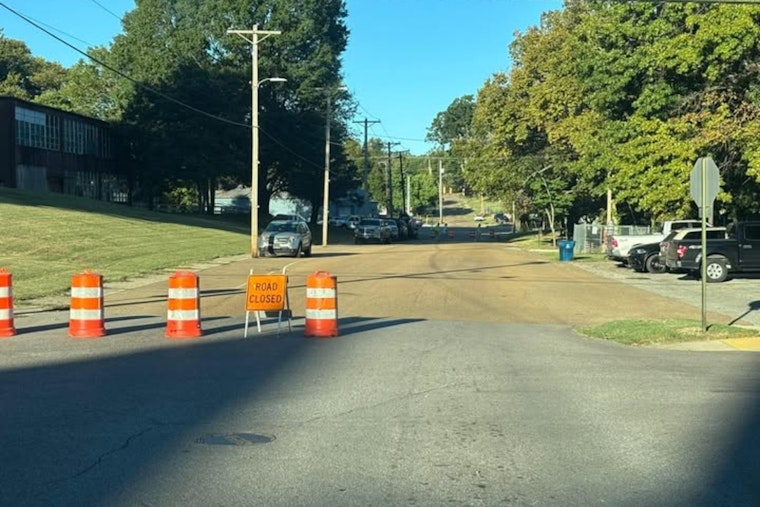 Covington Commuters Detour as Crews Remove Hazardous Tree from Shelton Park