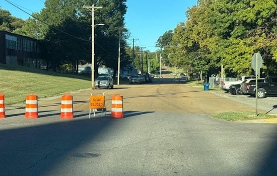 Covington Commuters Detour as Crews Remove Hazardous Tree from Shelton Park