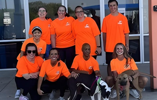 Dallas Animal Services Reopens Kennel Rooms for Volunteers Post-Distemper Outbreak, Seeks Help for BMW Dallas Marathon Water Station