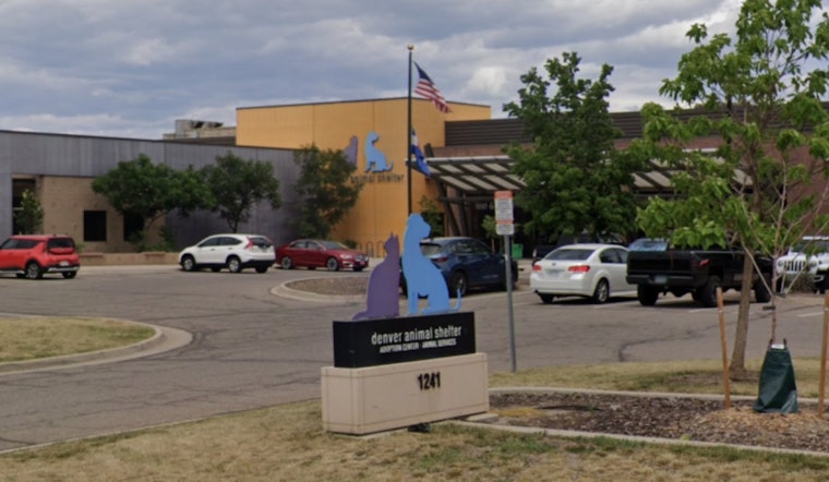 Denver Animal Protection Teams Up with Bergen Spay & Neuter Alliance for No-Cost Spaying and Neutering Events