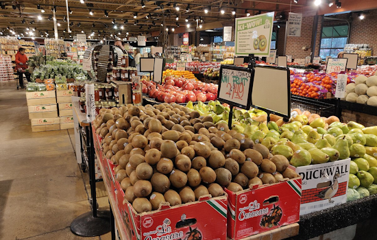 Detroit in Despair: 1.4 Million Michiganders Face SNAP Cutoff as Federal Shutdown Bites