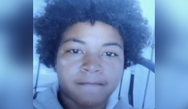 Detroit Police Seek Public's Help in Locating Missing 15-Year-Old Ciarra Goodman