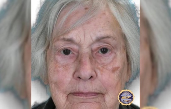 Dickson Police and TBI Issue Silver Alert for Missing 88-Year-Old Joann McWilliams in Tennessee