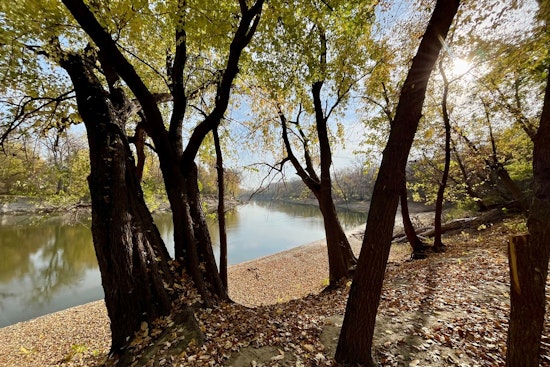 Discover Mindfulness Amidst Nature with Forest Bathing at Cleary Lake Regional Park