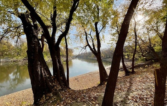 Discover Mindfulness Amidst Nature with Forest Bathing at Cleary Lake Regional Park