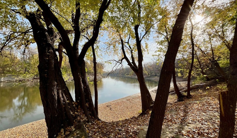 Discover Mindfulness Amidst Nature with Forest Bathing at Cleary Lake Regional Park