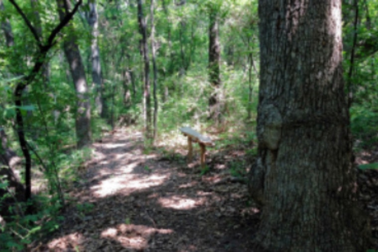 Discover Nature's Wonders: Lewisville Lake Environmental Learning Area Hosts Family-Friendly Open House
